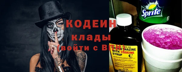 индика Белокуриха