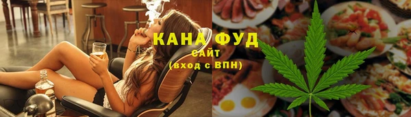 индика Белокуриха