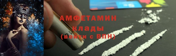 индика Белокуриха