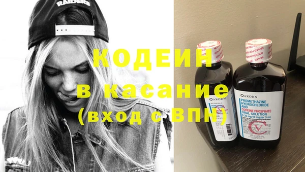 индика Белокуриха