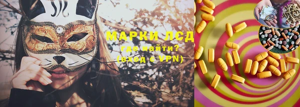 индика Белокуриха