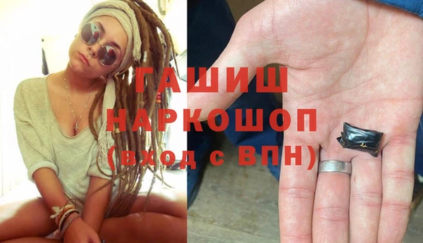 индика Белокуриха