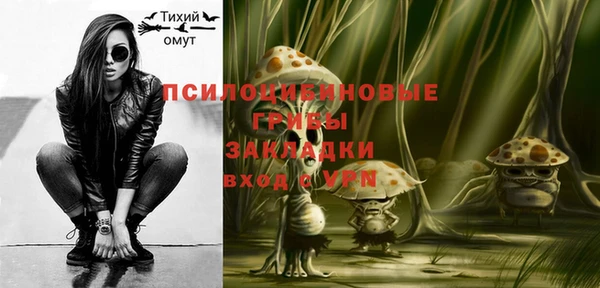 индика Белокуриха