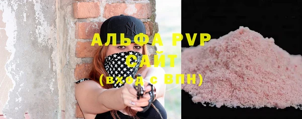индика Белокуриха