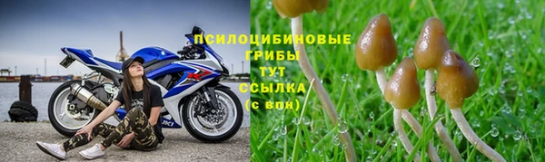 наркотики Беломорск