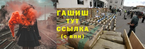 индика Белокуриха