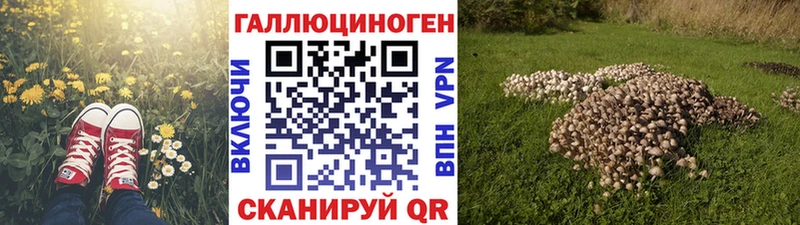 Галлюциногенные грибы мицелий Бийск